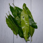 Organic Mango Leaves / Aam Ke Patte - 250 Gms - Kedia Organic Agro Farms Herbs Kedia Organic Agro Farms